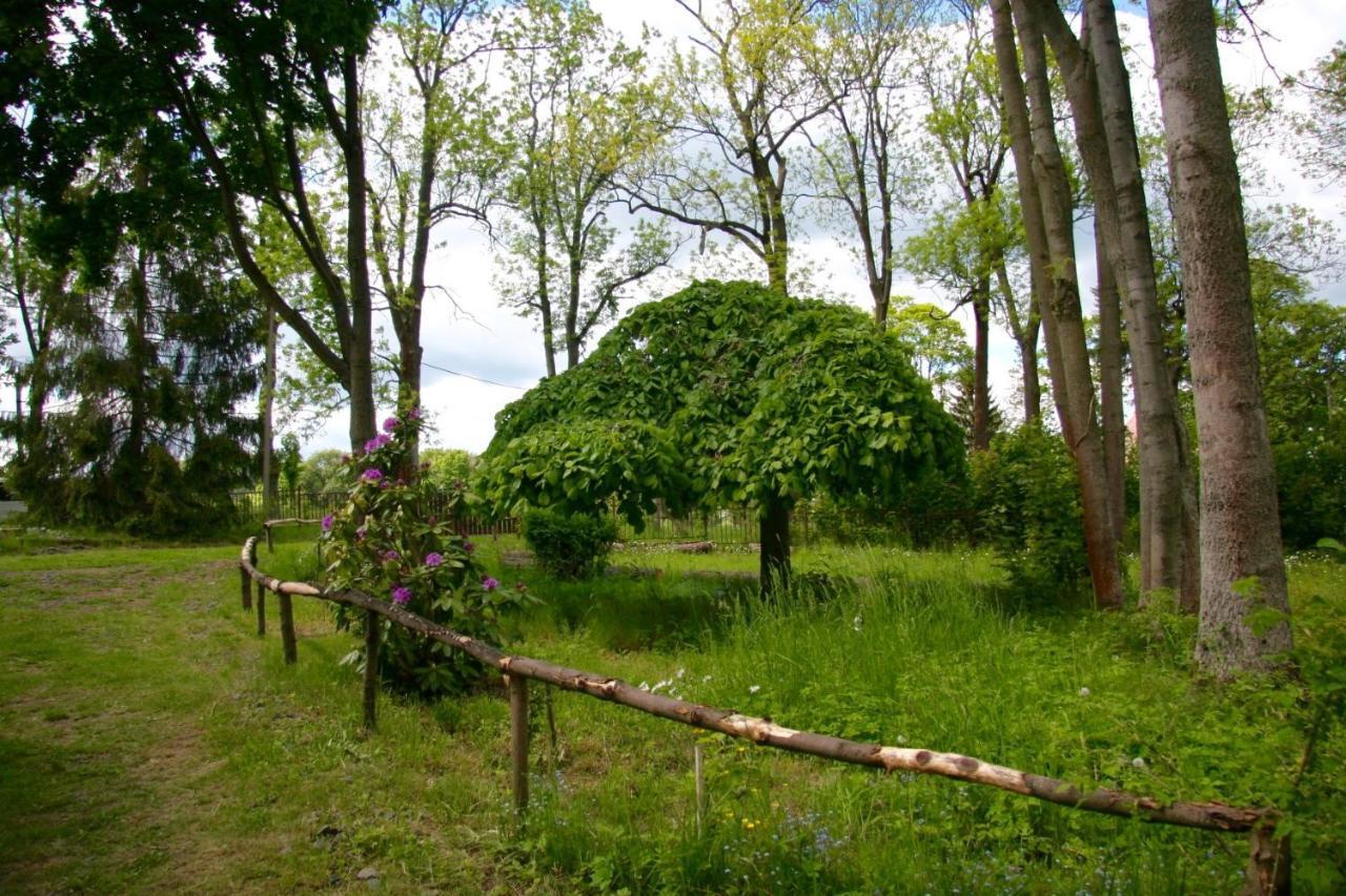 Villa Sunshine / Slunecna Vila Krásná Lípa Kültér fotó