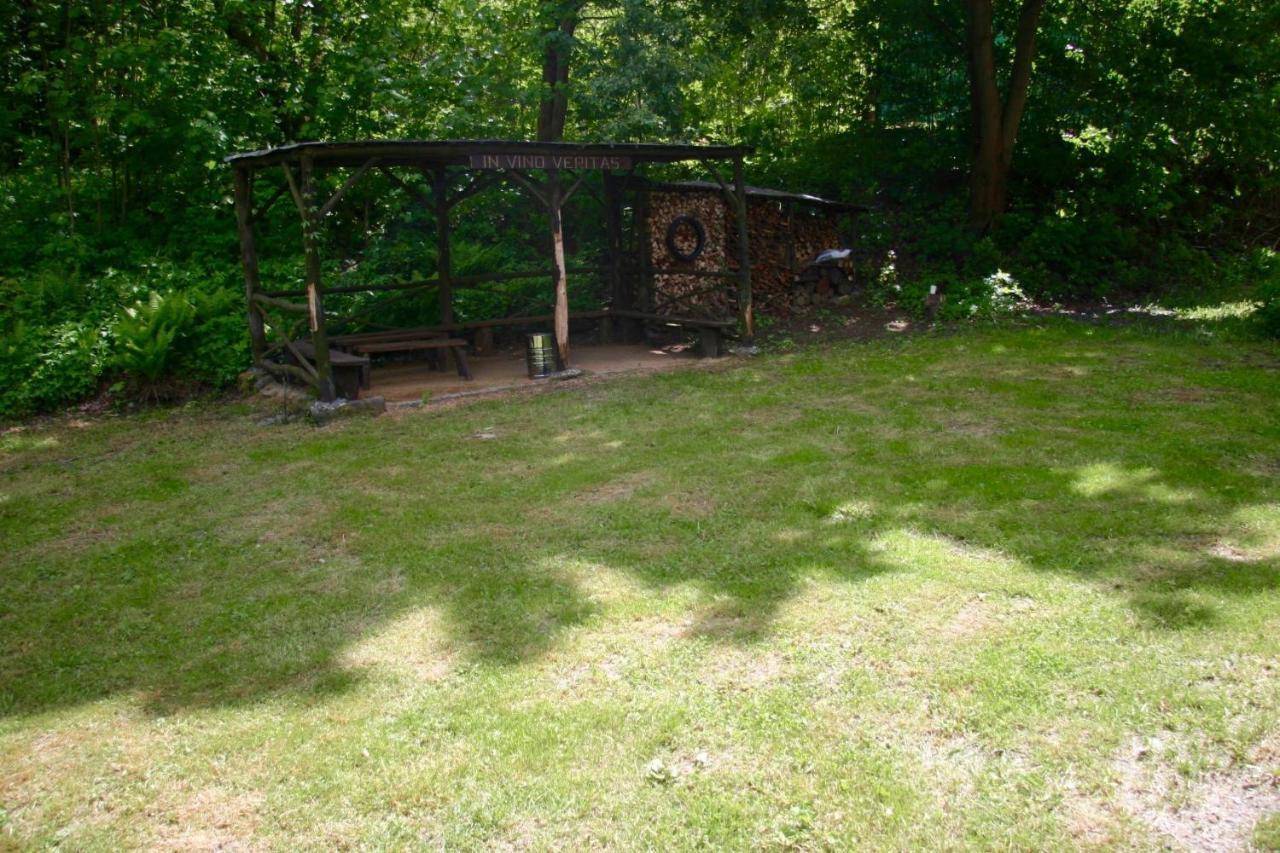 Villa Sunshine / Slunecna Vila Krásná Lípa Kültér fotó